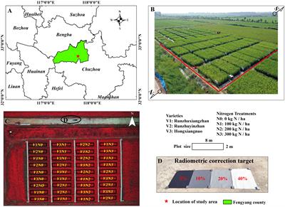 Optimizing window size and directional parameters of GLCM texture features for estimating rice AGB based on UAVs multispectral imagery